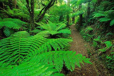 传闻：《古惑狼：疯狂三部曲》8月8日登陆XGP